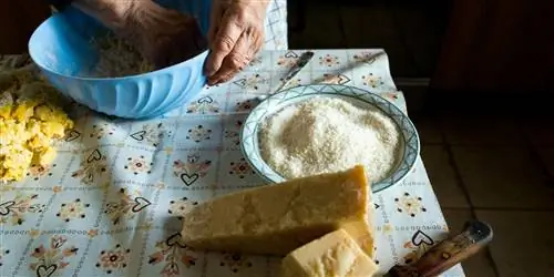 Радость и гениальность традиционной итальянской домашней кухни