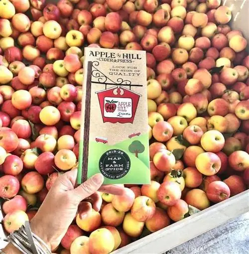 Район Apple Hill дает гораздо больше, чем просто яблоки, от тыквы до ягод и многого другого.