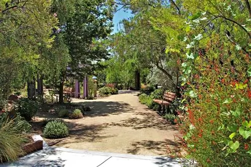 Всего в нескольких милях от центра Вегаса находится огромный природный оазис.