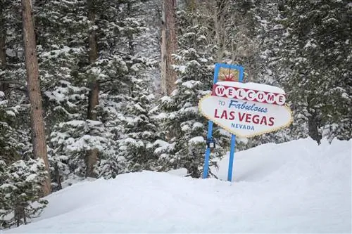 Это место для занятий зимними видами спорта находится к северо-западу от города, в Национальном лесу Гумбольдта-Тойябе и Национальной зоне отдыха Спринг-Маунтинс.