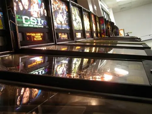 В этой некоммерческой игровой Мекке весь избыточный доход, полученный игроками от обширной коллекции автоматов для игры в пинбол, идет на неконфессиональные благотворительные организации.