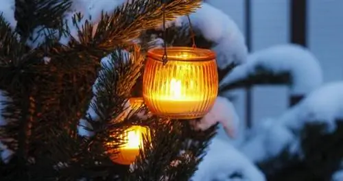 Праздничные традиции со всего мира, которые могут вас удивить