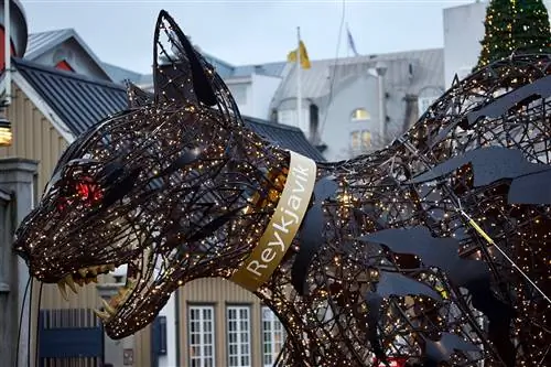 Плохие новости, если исландский йольский кот появляется на вашем пороге.