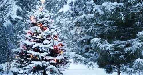 CDC просит американцев оставаться дома на праздники