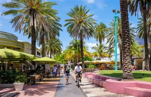 Линкольн-роуд - пешеходная улица и набережная в Майами-Бич, штат Флорида.