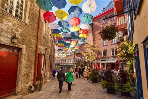 Rue du Petit-Champlain привлекает посетителей своими красочными уличными арт-инсталляциями и фресками.