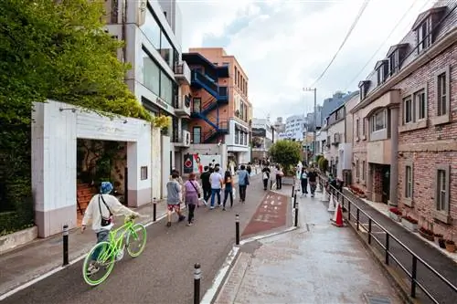 Токийская улица кошек тянется между популярными торговыми районами Харадзюку и Сибуя.