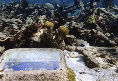 ЦИФРОВАЯ КАМЕРА OLYMPUS