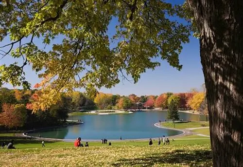 Lac des Castors (Бобровое озеро) в обрамлении клена (Acer) в парке Mount Royal осенью, Монреаль, Квебек, Канада