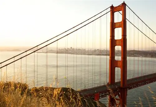 Проект SF Travel Skyline