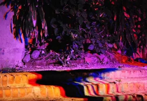 Фото Алекса Паломино