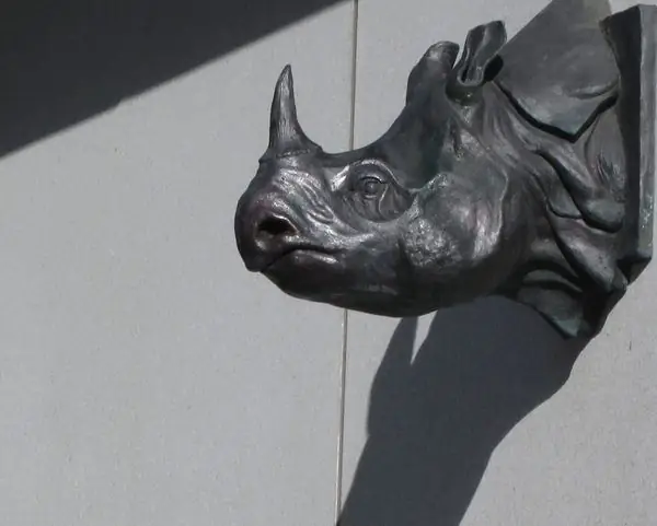 Книжный магазин в мягкой обложке Rhinoceros