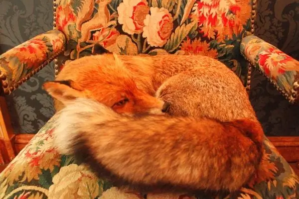 Musée de la Chasse et de la Nature (Музей охоты и природы)