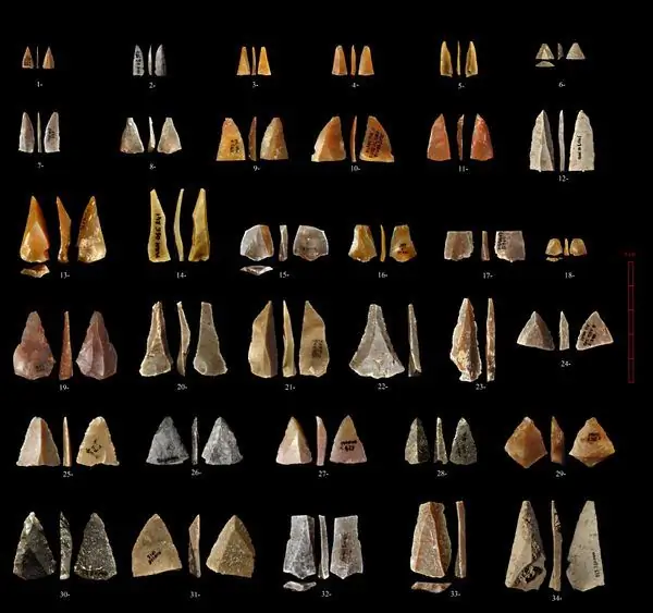 Как молочный зуб и сажа переписали историю человечества в Европе