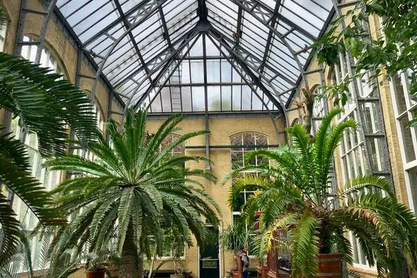 Hortus Botanicus Амстердам