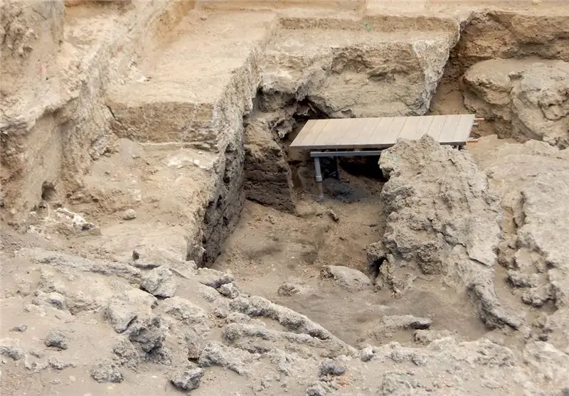 Основная область раскопок в Дманиси меньше, чем большинство домов на одну семью, но было найдено более 10 000 костей. Многие другие остаются на месте