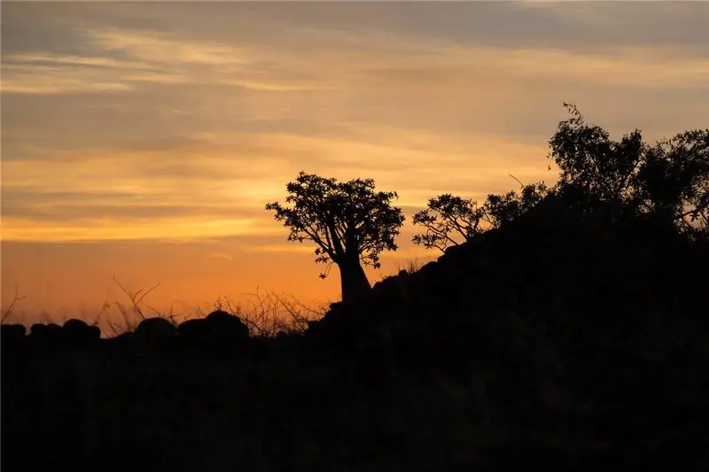 Северный кенийский закат: этот регион десятилетиями был центром палеоантропологии, хотя большинство исследователей и студентов традиционно были выходцами из США и Европы