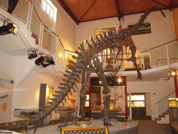Sauriermuseum Ааталь