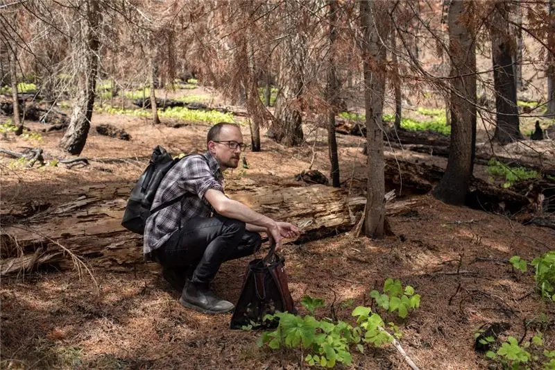 Штайнрак осматривает местность в поисках грибов