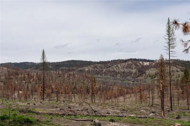 Измененный ландшафт Шнайдер-Спрингс