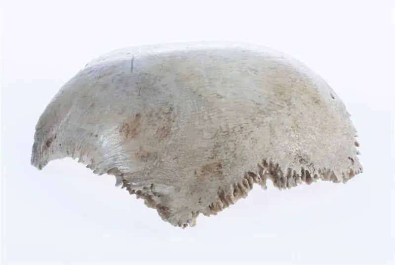 Этот фрагмент черепа, официально известный как LUHM 508, принадлежит Декарту, как утверждают шведские авторы противоречивого исследования