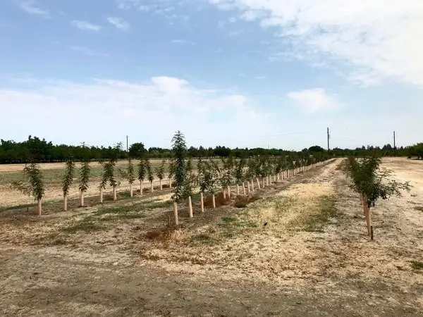 «Сад пыток» - испытательный полигон для грядущего климатического кризиса