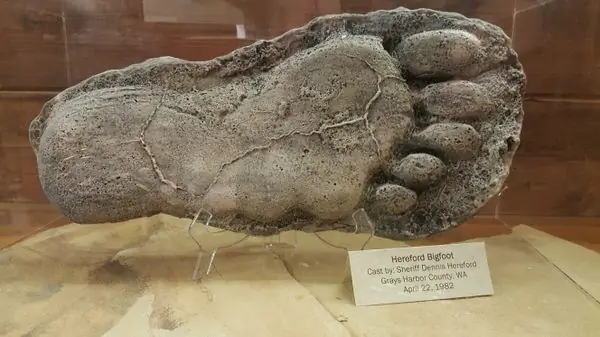 Экспедиция снежного человека (Музей снежного человека)