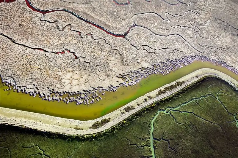 Дамба отделяет пересохший соляной пруд от растущей заболоченной местности