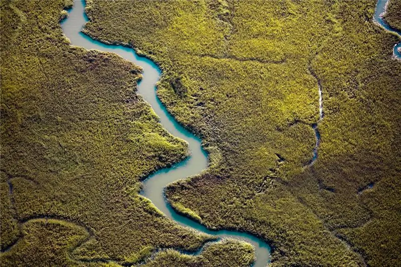Небольшой ручей течет через восстановленные водно-болотные угодья в Южном заливе Сан-Франциско