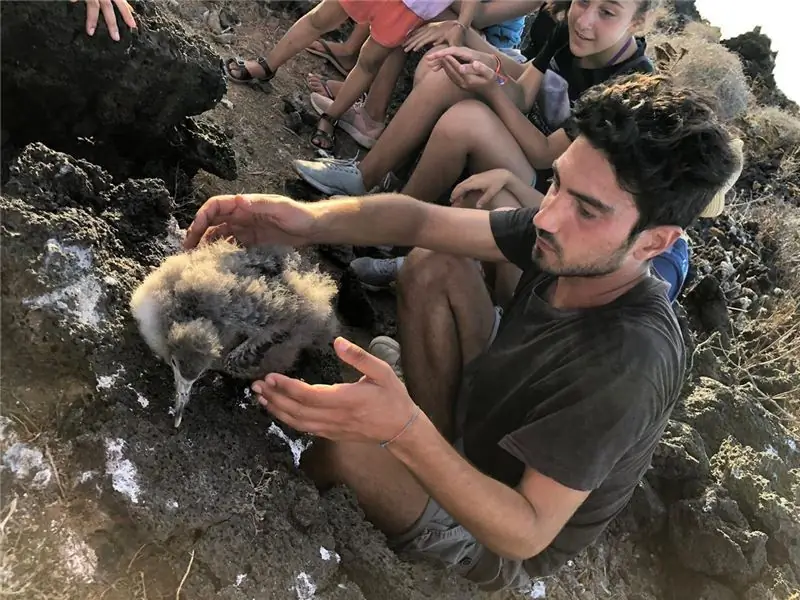 Д'Эмануэле надеется, что дети, выросшие на Линозе, как и он, разовьют такое же понимание как острова, так и его дикой природы