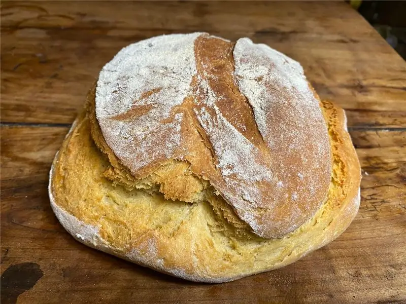 Обогащенный белый конский хлеб, испеченный Уильямом Рубелем по рецепту 1607 года для скаковых лошадей. Обычный конский хлеб был темнее, ровнее и плотнее