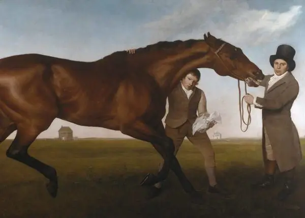 Веками крупнейшими покупателями английских пекарей были лошади