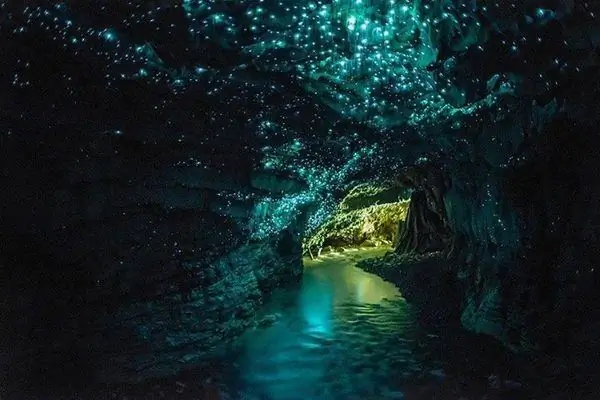 Пещера, освещенная светлячками