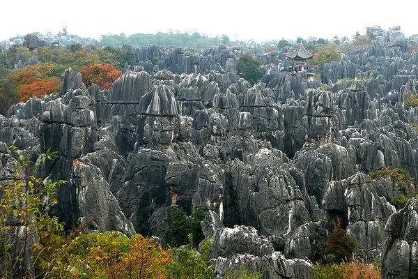 Шилиньский каменный лес