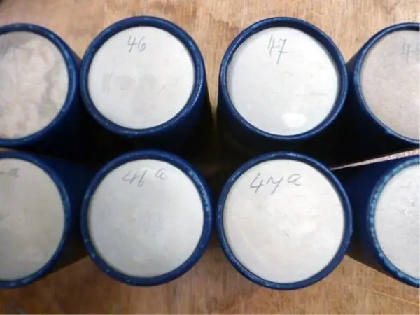 Хранят ли эти трубки самые старые известные стереозаписи?