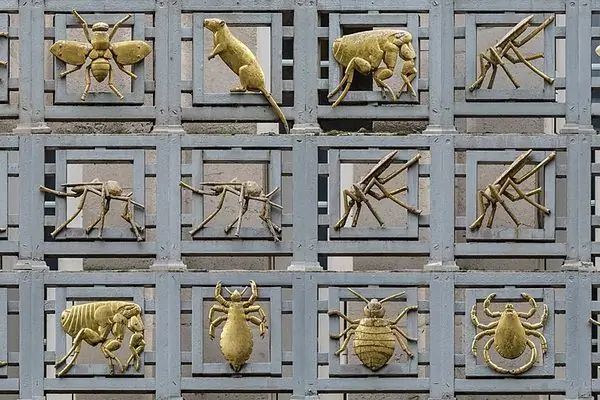 Лондонская школа гигиены и тропической медицины Векторы болезней Frieze