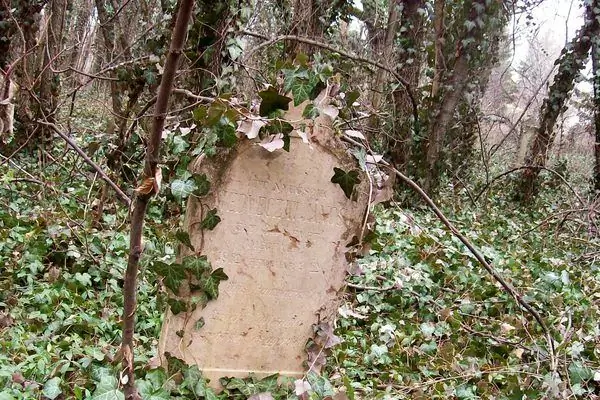 Старое кладбище Чинкота