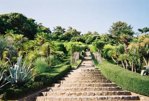 Ботанический сад острова: Oedo Botania