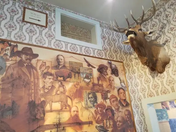 Музей Эдвина Картера