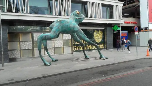 Испанская лягушка удачи