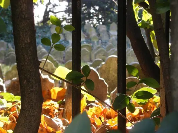 Кладбище домашних животных в Гайд-парке