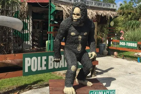 Штаб исследований Skunk Ape Research
