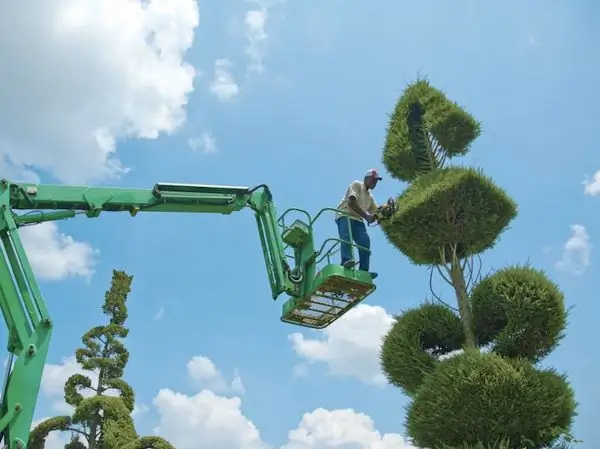 Жемчужный сад Fryar Topiary Garden