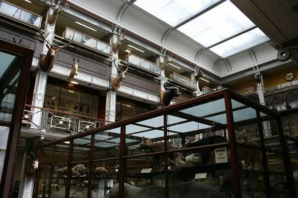 Здание естественной истории, Национальный музей Ирландии