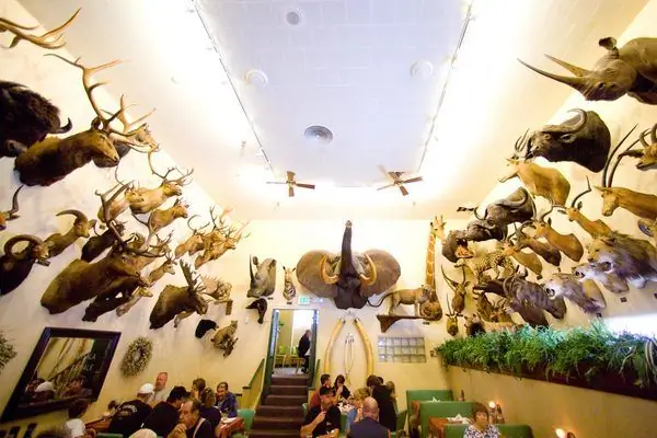 Большой Рог Фостера