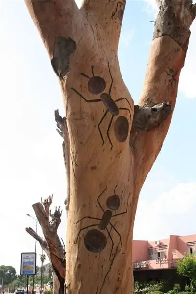 Скульптуры из деревьев в Новом городе