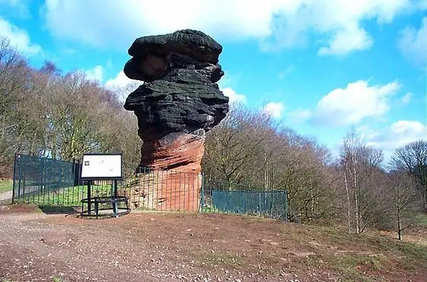 Камень болиголова