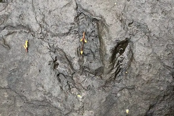 Парк динозавров Паудер-Хилл