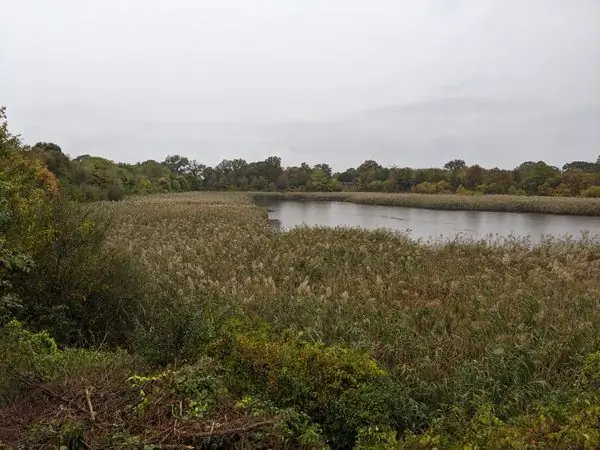 Риджвудское водохранилище