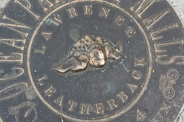 Плакаты морских обитателей торговых центров Ocean Parkway